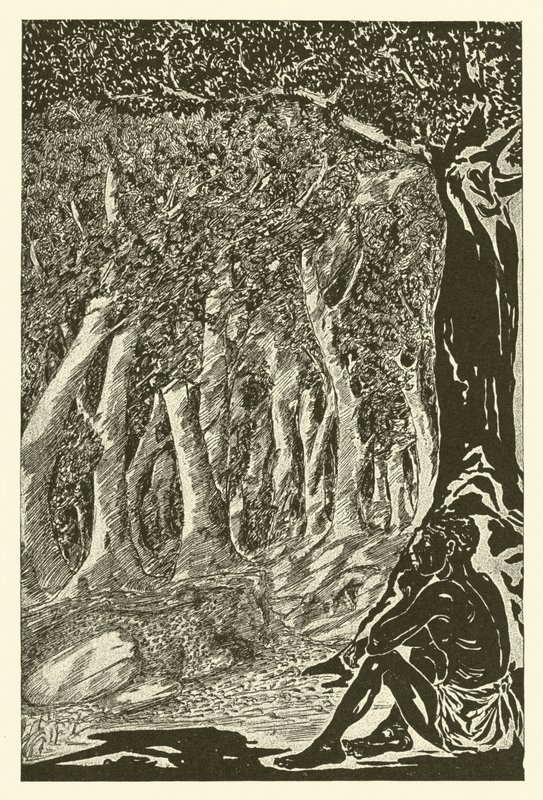 Der Leopard und der Äthiopier von Joseph Rudyard (after) Kipling