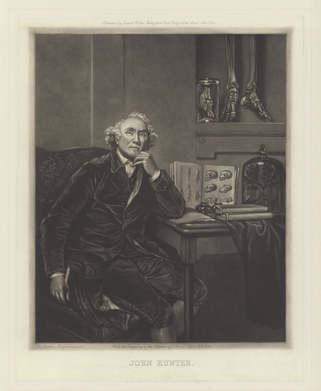 John Hunter, schottischer Chirurg von Joshua Reynolds