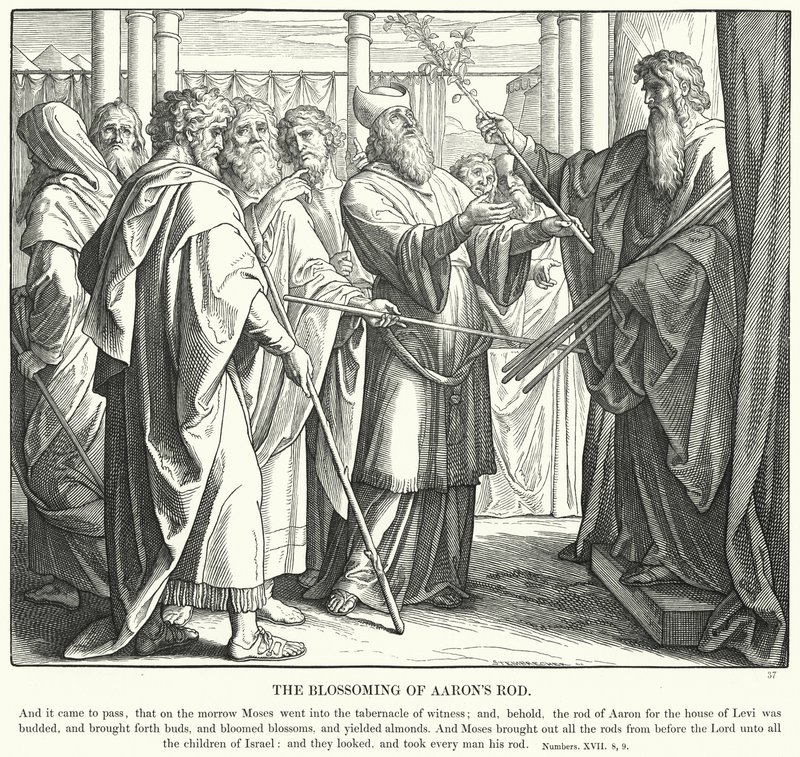 Das Blühen von Aarons Stab (Gravur) von Julius (after) Schnorr von Carolsfeld