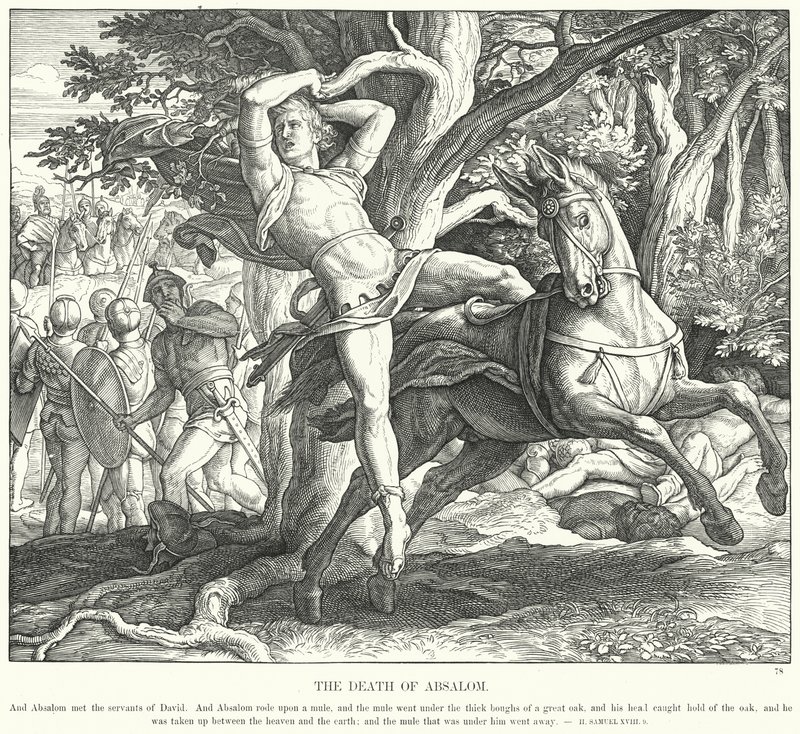 Der Tod Absaloms (Gravur) von Julius (after) Schnorr von Carolsfeld