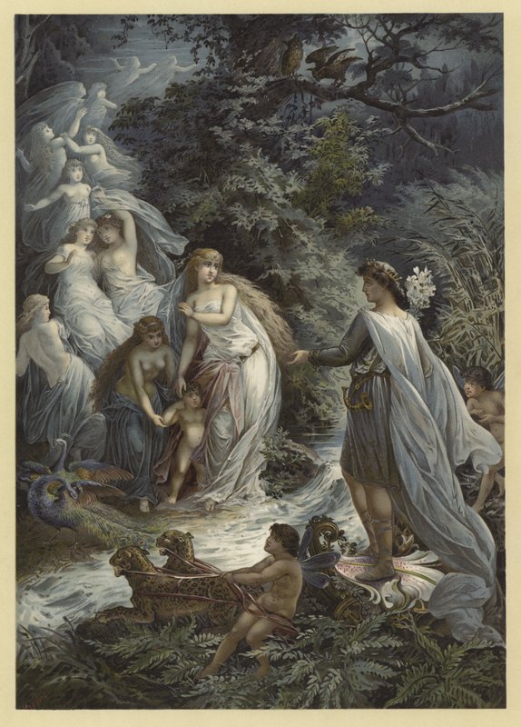 Illustration für Ein Sommernachtstraum von Julius Hoeppner
