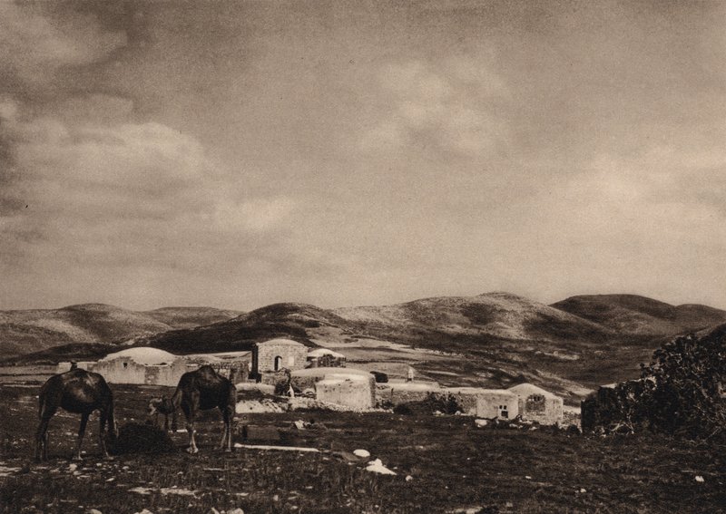 Samaria, Blick von den Ruinen des Herodespalastes von Karl Grober
