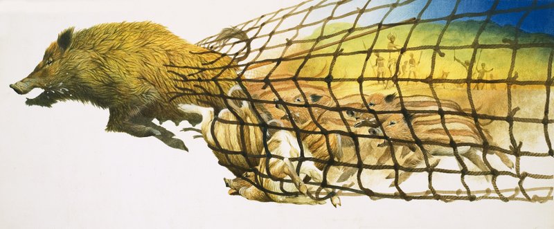 Ein Wildschwein reißt durch ein Jägernetz von Kenneth Lilly