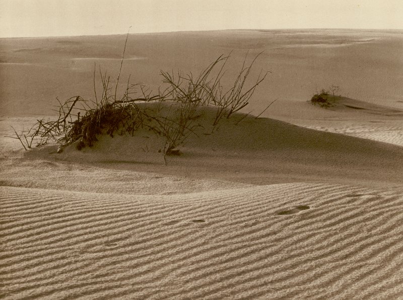 Wanderdüne auf der Kurischen Nehrung nördlich von Rossitten von Kurt Hielscher