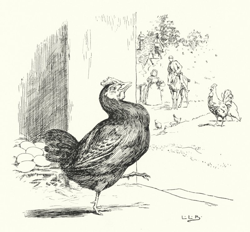 Higgley Piggley, mein schwarzes Huhn von Leonard Leslie Brooke