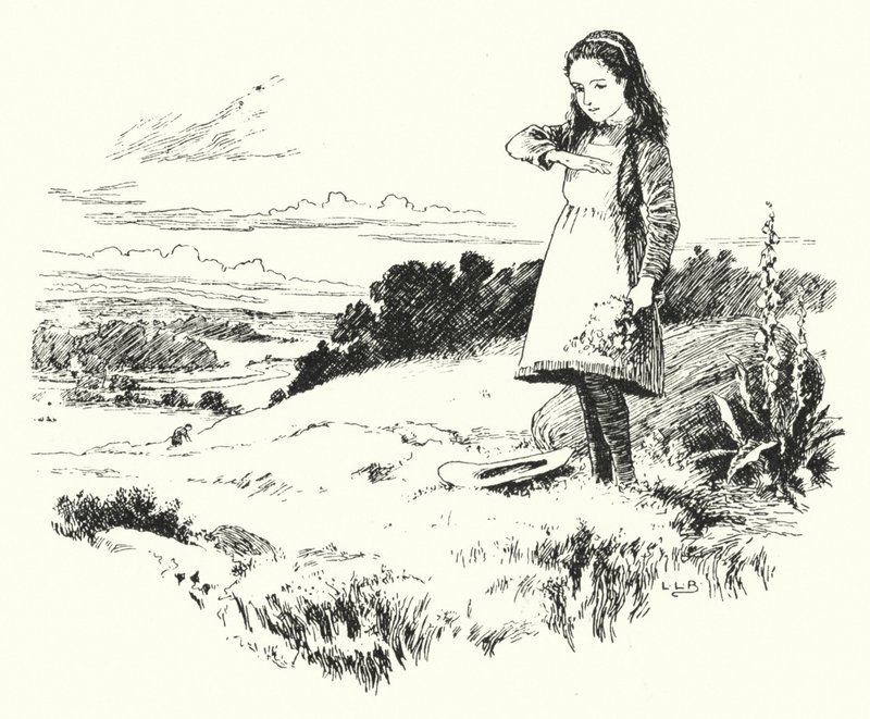 Marienkäfer, Marienkäfer, flieg nach Hause (Gravur) von Leonard Leslie Brooke