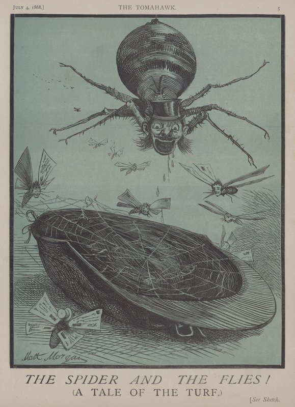 Die Spinne und die Fliegen! von Matthew