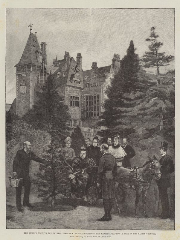 Der Besuch der Königin bei der Kaiserin Friedrich in Friedrichshof, Ihre Majestät pflanzt einen Baum im Schlossgarten von Melton Prior