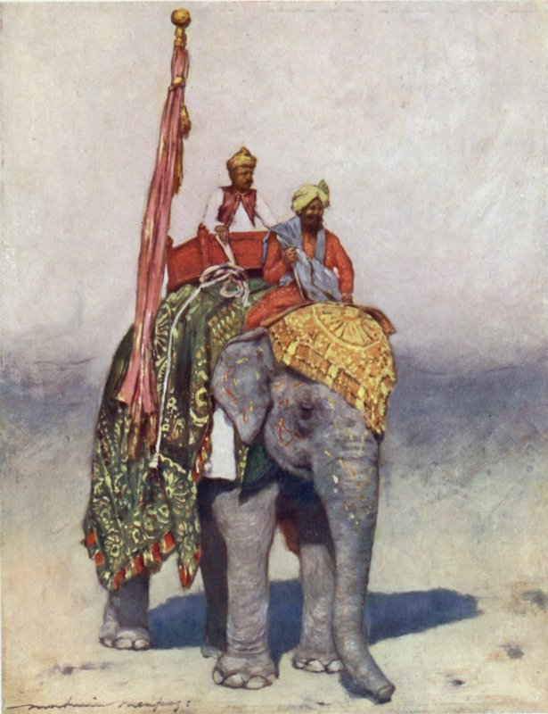 Ein Elefant aus Jaipur von Mortimer Ludington Menpes