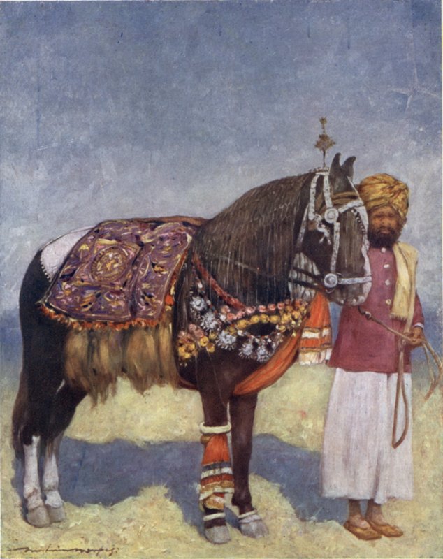 Ein Pferd aus Jodhpur von Mortimer Ludington Menpes
