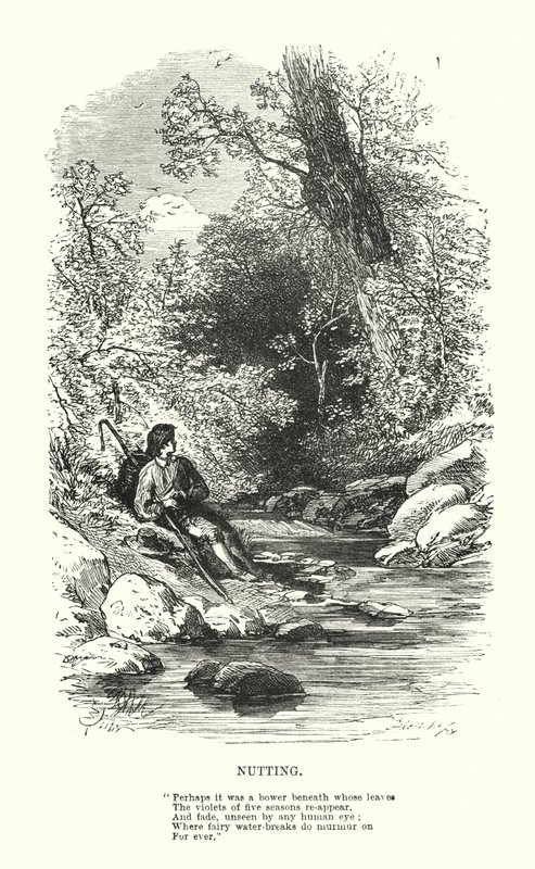 William Wordsworth: Nutting von Myles Birket (after) Foster