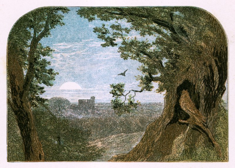 Illustration für 