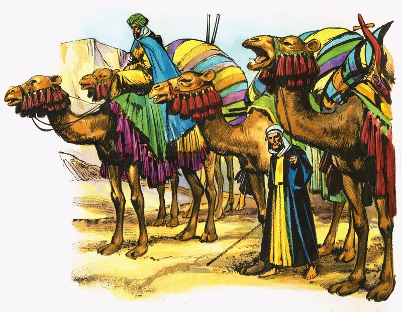 Kamelkarawane in Nordafrika von Nadir Quinto