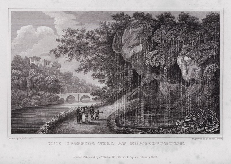 Der Tropfende Brunnen in Knaresborough von Nathaniel (after) Whittock