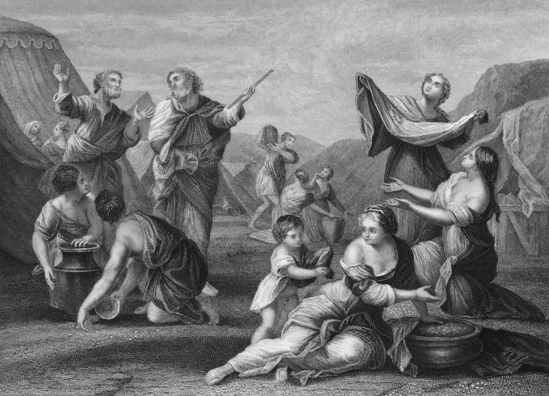 Der Fall von Manna, Exodus, Kap. 16, Vers 14, 24 (Gravur) von Nicolas (after) Poussin