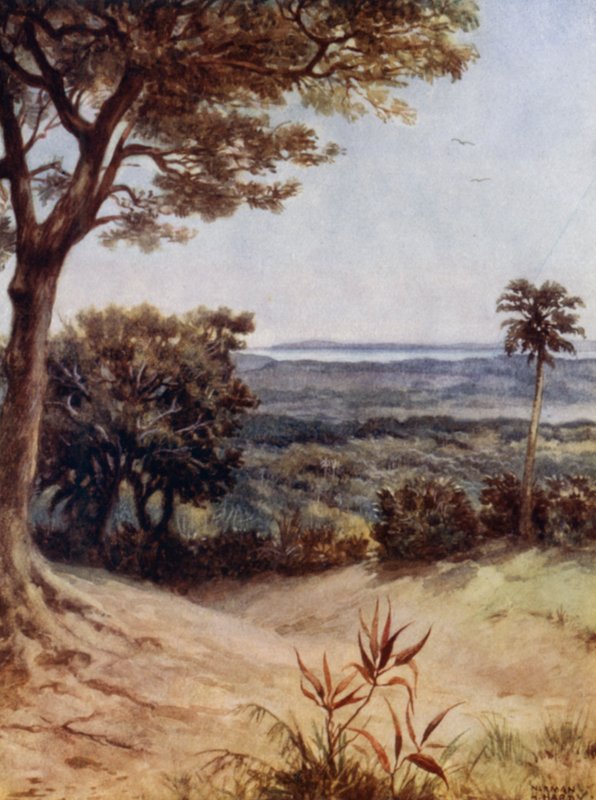 Havannah Harbour, Rathmoy, Neue Hebriden von Norman Hardy