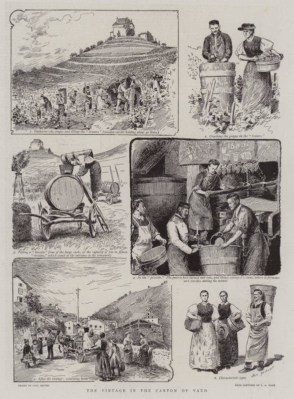 Die Weinlese im Kanton Waadt von Paul Destez