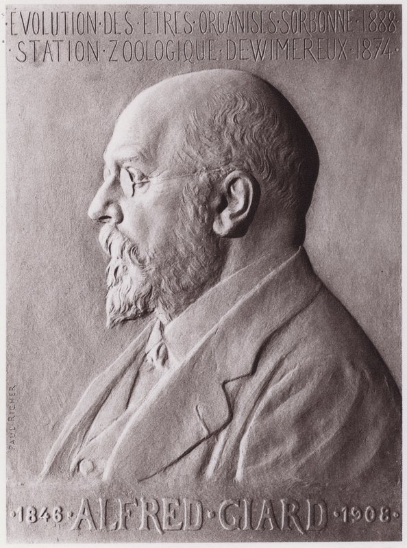 Alfred Giard (1846-1908), Zoologe, Porträt von Paul Marie Louis Pierre Richer