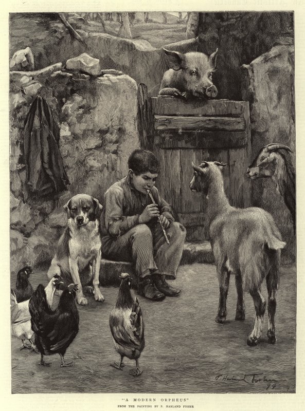 Ein moderner Orpheus von Percy Harland Fisher