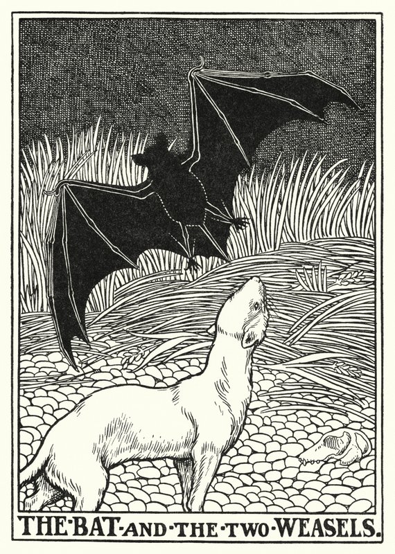 Fabeln von La Fontaine: Die Fledermaus und die zwei Wiesel von Percy James Billinghurst
