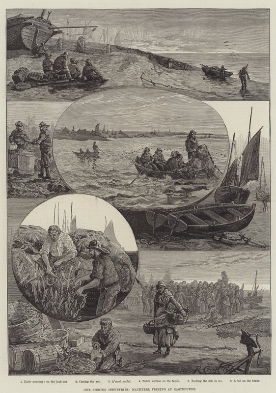 Unsere Fischereiindustrie, Makrelenfischen in Eastbourne (Gravur) von Percy Robert Craft