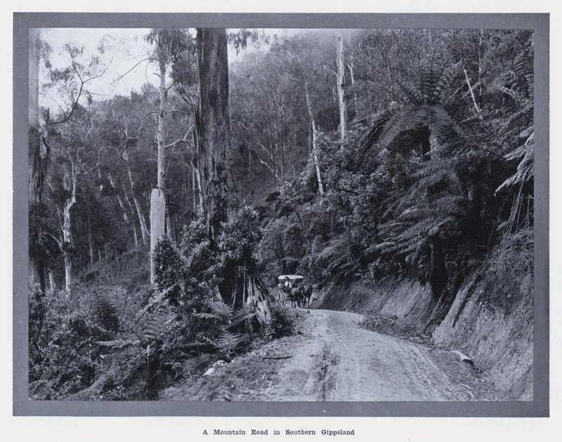 Eine Bergstraße in Süd-Gippsland von Photographer Australian
