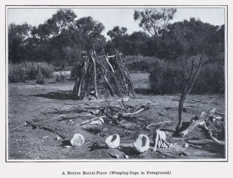 Ein einheimischer Begräbnisplatz, Weeping-Caps im Vordergrund (s/w Foto) von Photographer Australian