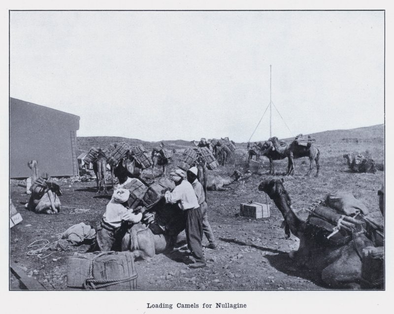 Beladen von Kamelen für Nullagine von Photographer Australian