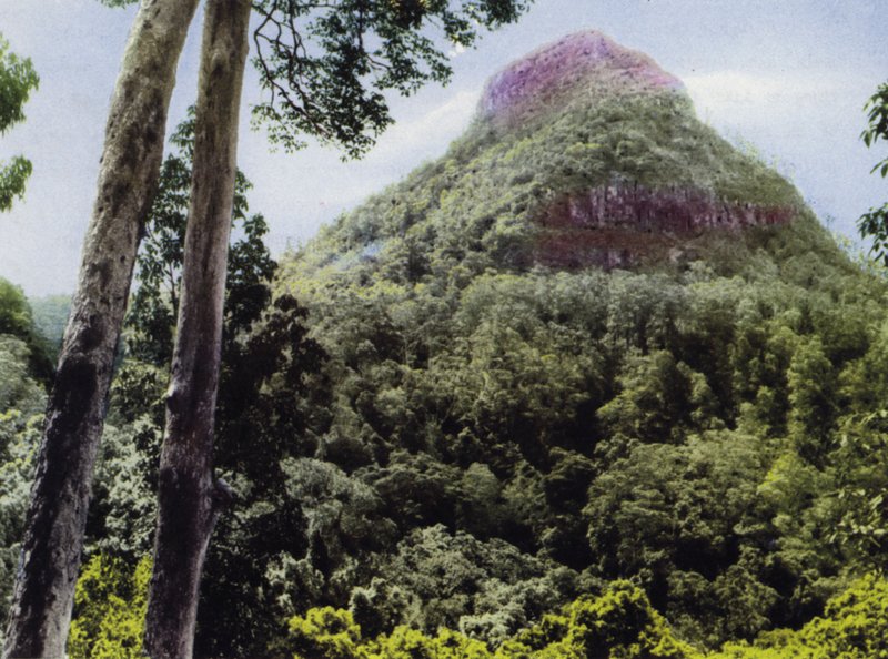 Queensland, Australien: Mt Cordeaux (Foto) von Photographer Australian