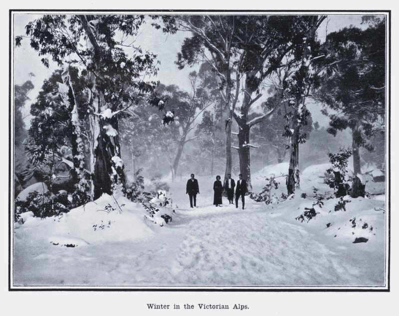 Winter in den Viktorianischen Alpen von Photographer Australian