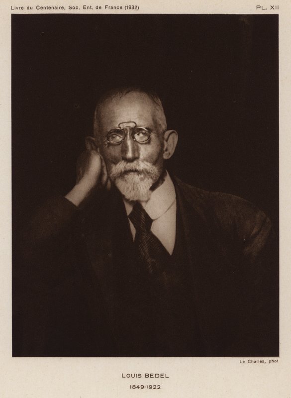 Ernest Marie Louis Bedel, französischer Entomologe von Photographer French