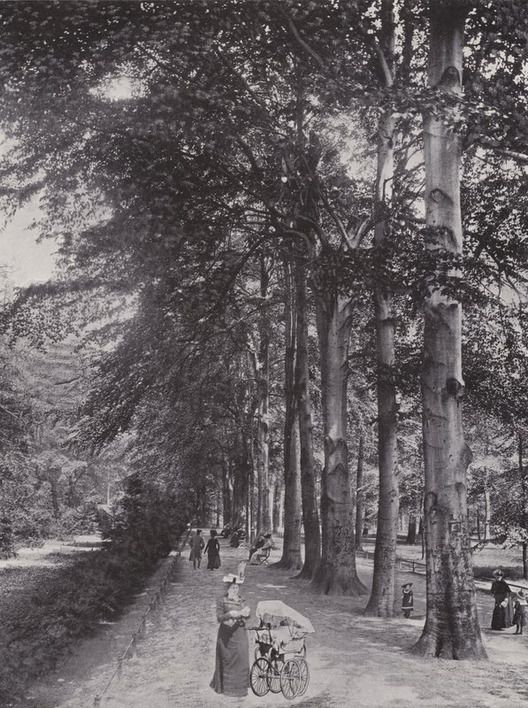Im Tiergarten, Ein schattiger Weg von Photographer German
