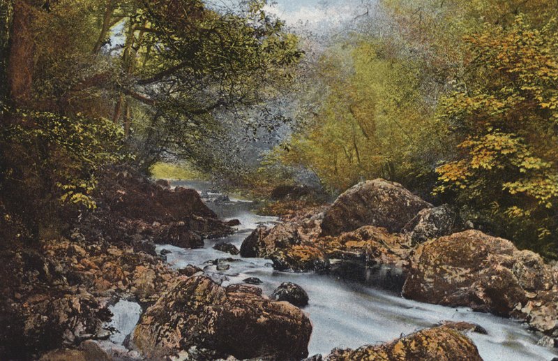 Irland: Im Dargle, County Wicklow von Photographer Irish