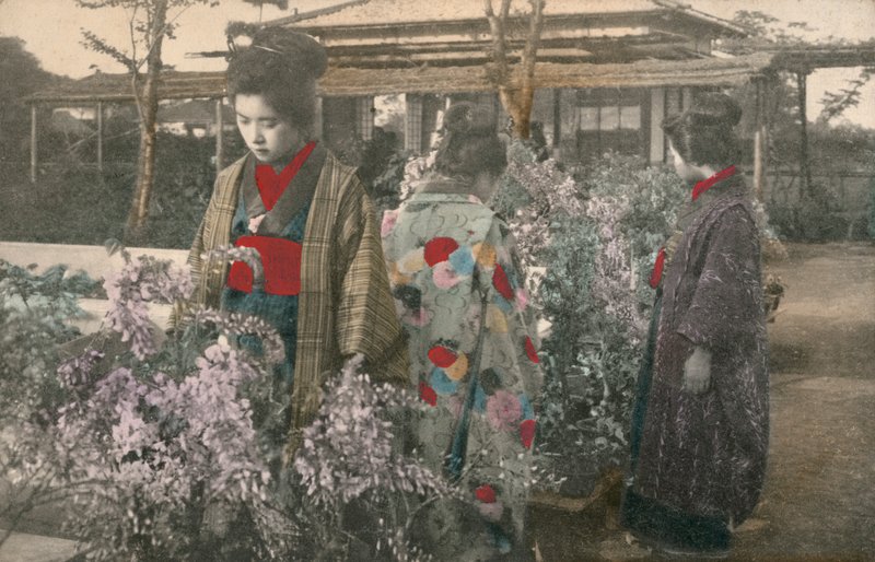 Japanische Frauen mit Glyzinienpflanzen von Photographer Japanese