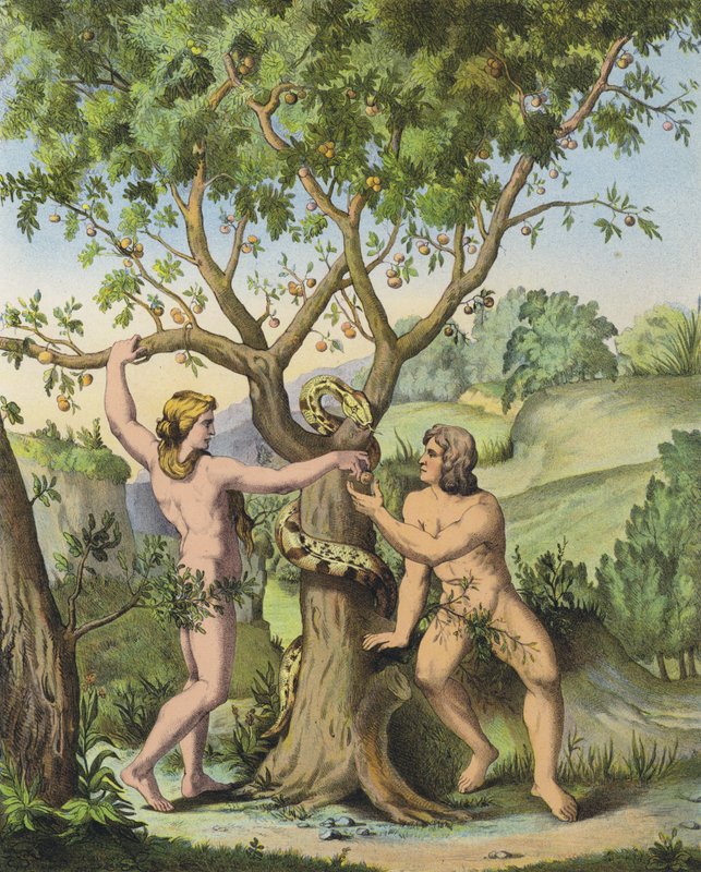 Eva überreicht Adam den Apfel vom Baum der Erkenntnis von Gut und Böse (Farblithografie) von after Raphael