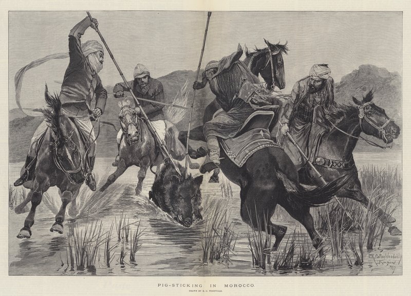 Schweinejagd in Marokko von Richard Caton Woodville junior