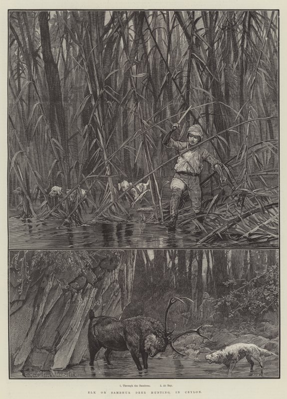 Elch- oder Sambhur-Hirschjagd in Ceylon von Richard Caton Woodville junior