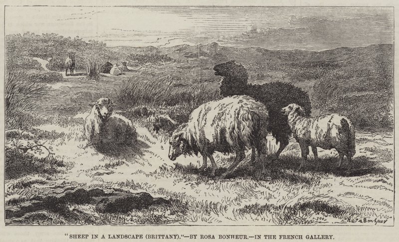 Schafe in einer Landschaft, Bretagne von Rosa Bonheur