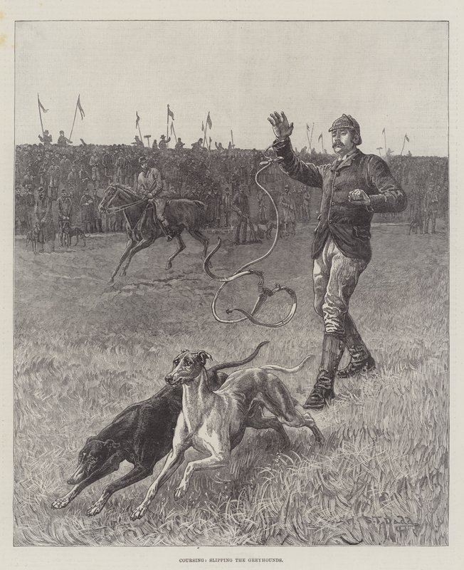 Hetzen, die Windhunde loslassen von S.T. Dadd