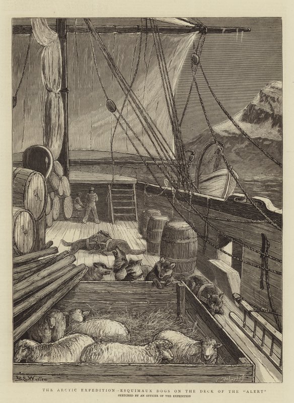 Die Arktis-Expedition, Eskimohunde auf dem Deck der Alert von Samuel Edmund Waller