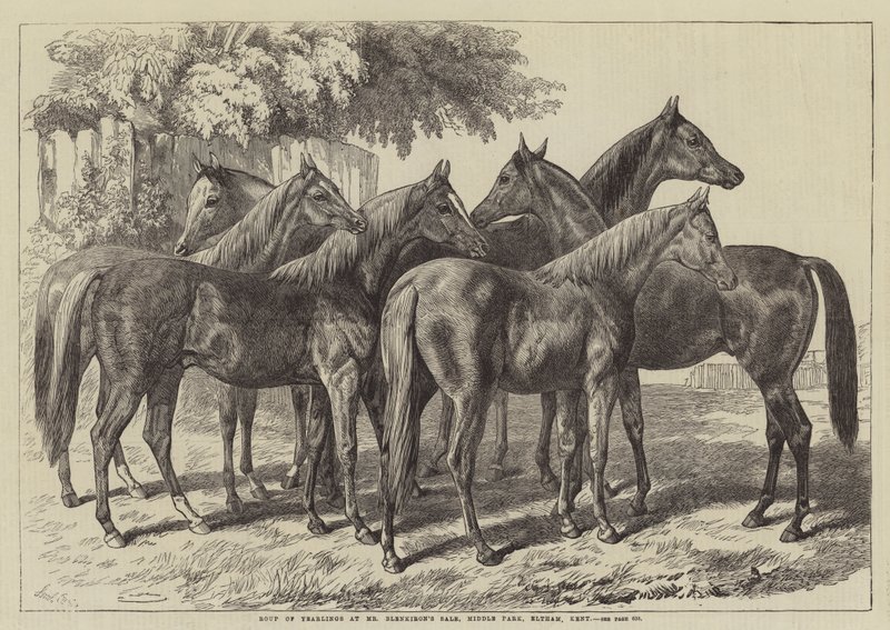 Gruppe von Jährlingen bei Mr. Blenkirons Verkauf, Middle Park, Eltham, Kent von Samuel John Carter