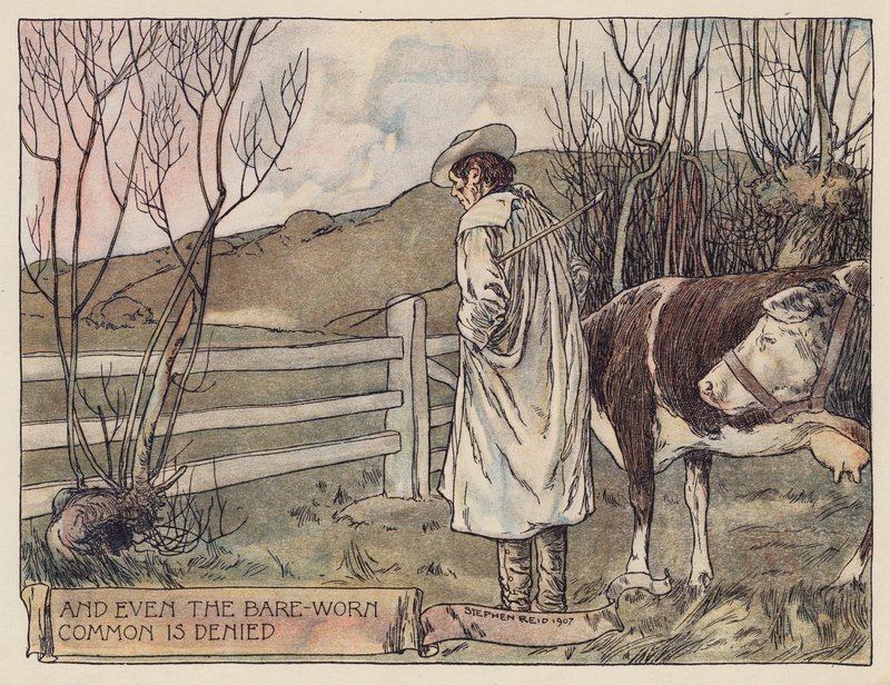 Illustration für 