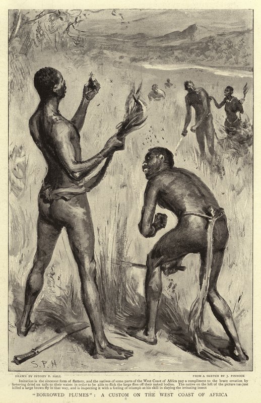 Geliehene Federn, ein Brauch an der Westküste Afrikas von Sydney Prior Hall