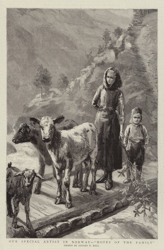 Unser Spezialkünstler in Norwegen, Hoffnungen der Familie von Sydney Prior Hall