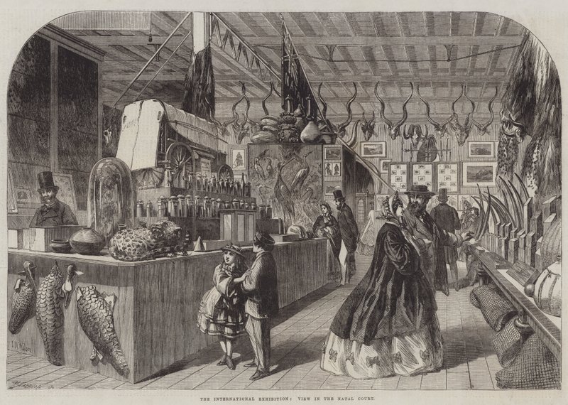 Die Internationale Ausstellung, Ansicht im Natal Court von Thomas Harrington Wilson