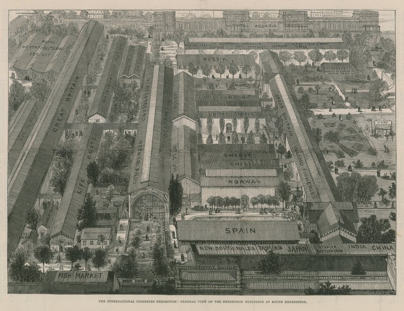 Die Internationale Fischereiausstellung; Eine Gesamtansicht der Ausstellungsgebäude (Gravur) von Thomas Sulman