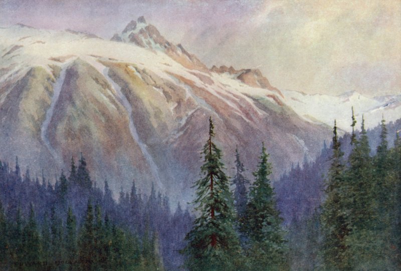 Von der Ringstraße, Gulmarg von Unbekannt Unbekannt