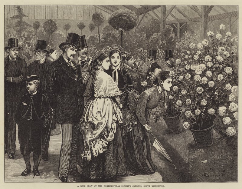 Eine Rosenschau in den Gärten der Horticultural Society, South Kensington von Valentine Walter Lewis Bromley