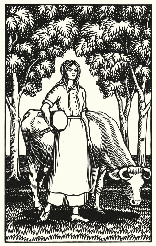 Illustration für Tess von den d