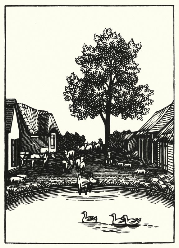 Illustration für Tess von den d